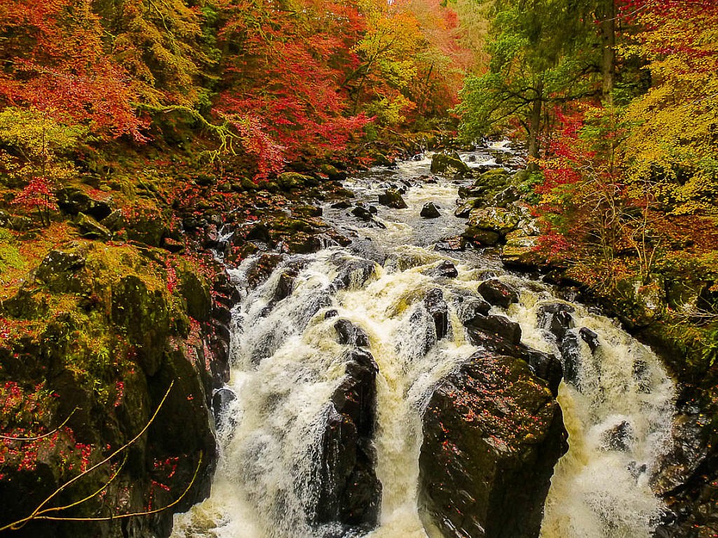 Herbstwandern in Schottland - Braan Walk @ The Hermitage, Dunkeld