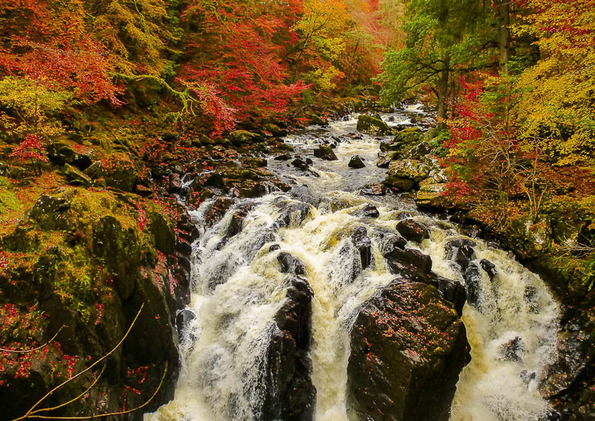 Herbstwandern in Schottland - Braan Walk @ The Hermitage, Dunkeld