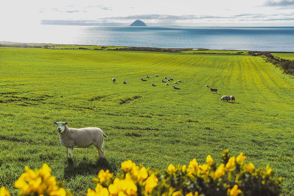 Isle of Arran: Sehenswürdigkeiten & Tipps für das Miniatur-Schottland