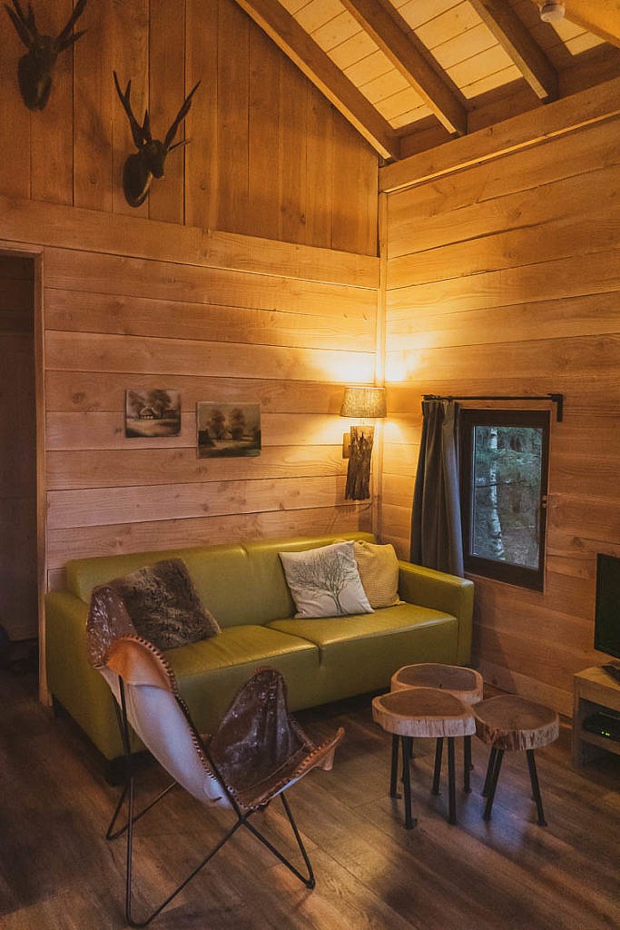 Naturhäuschen in Holland: Der Traum vom Baumhaus in Drenthe