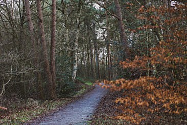 Nationalpark Dwingerveld