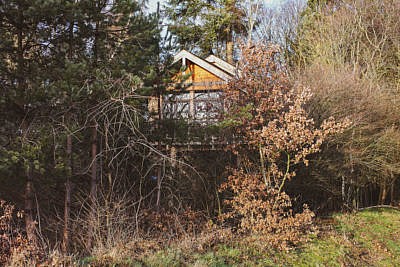 Naturhäuschen in Holland: Der Traum vom Baumhaus in Drenthe