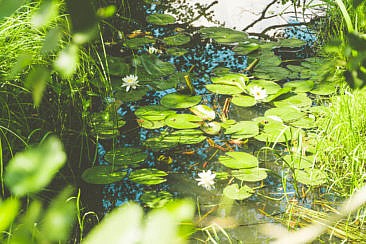 Kanutour im Spreewald (1)