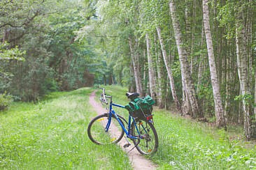 Spreewald-Radtour