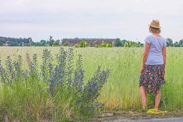 Spreewald-Radtour