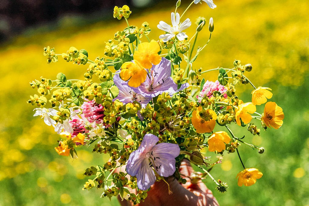Besondere Ausflugsziele in Baden-Württemberg - Insidertipps Besondere Ausflugsziele in Baden-Württemberg - Insidertipps