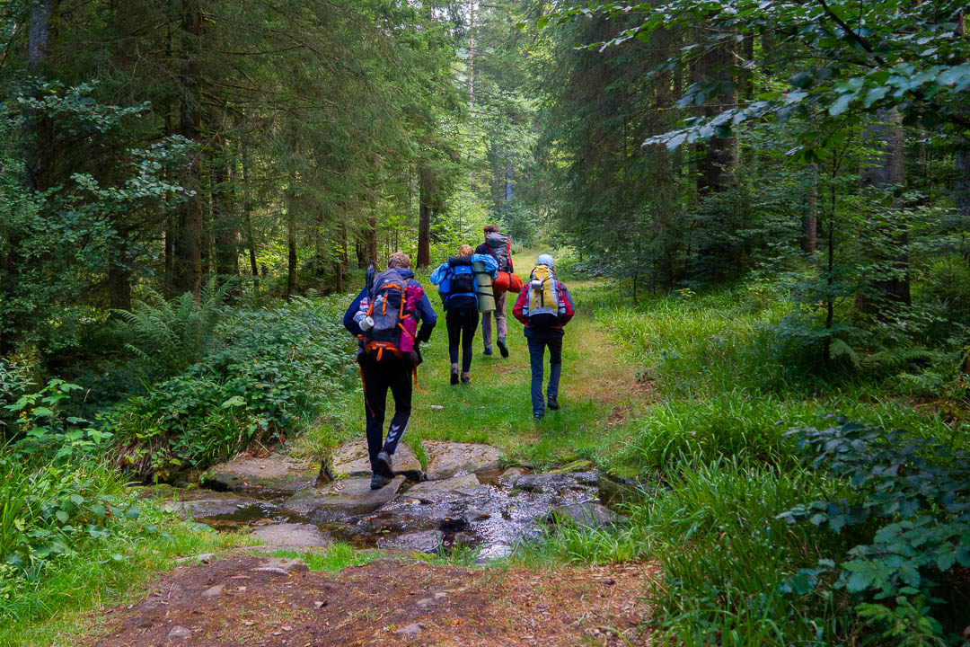 Trekking im Schwarzwald