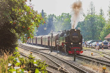 Harz