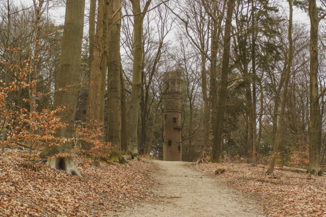 Lochemse Berg