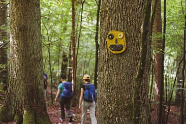 Trekking im Odenwald