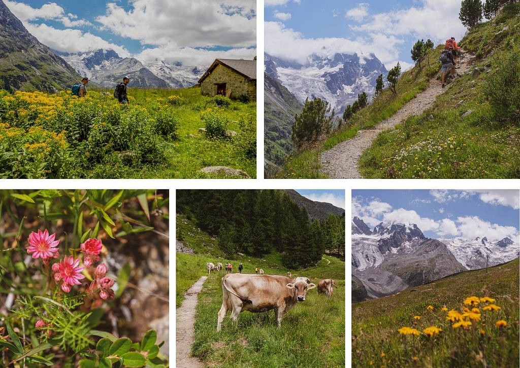 Bernina Tour Wanderung Fuorcla Surlej