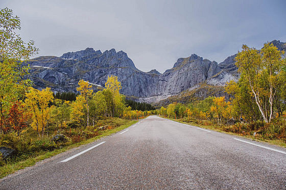 Schöne Straße nach Nusfjord Fotospot