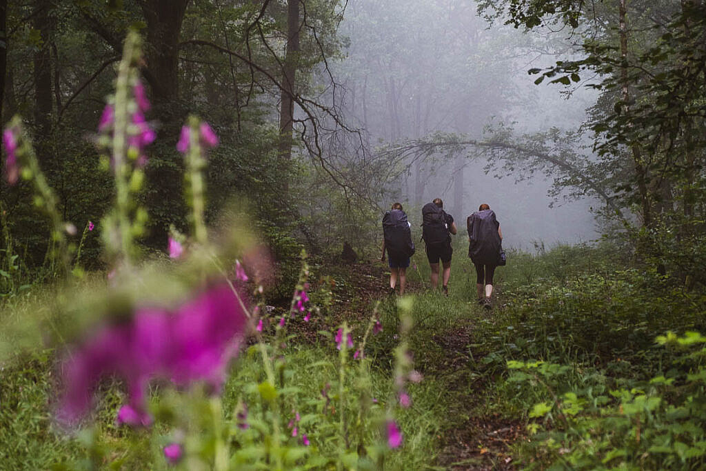 Wandern in den Ardennen