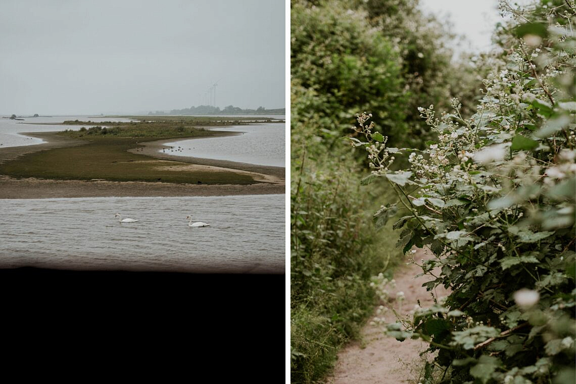 Vogelobservatorium Tij Goeree-Overflakkee