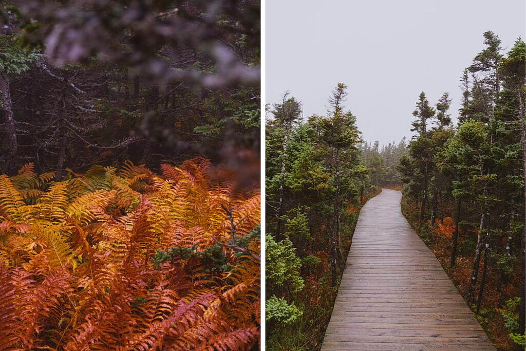 Cabot Trail Highlights Skyline Trail