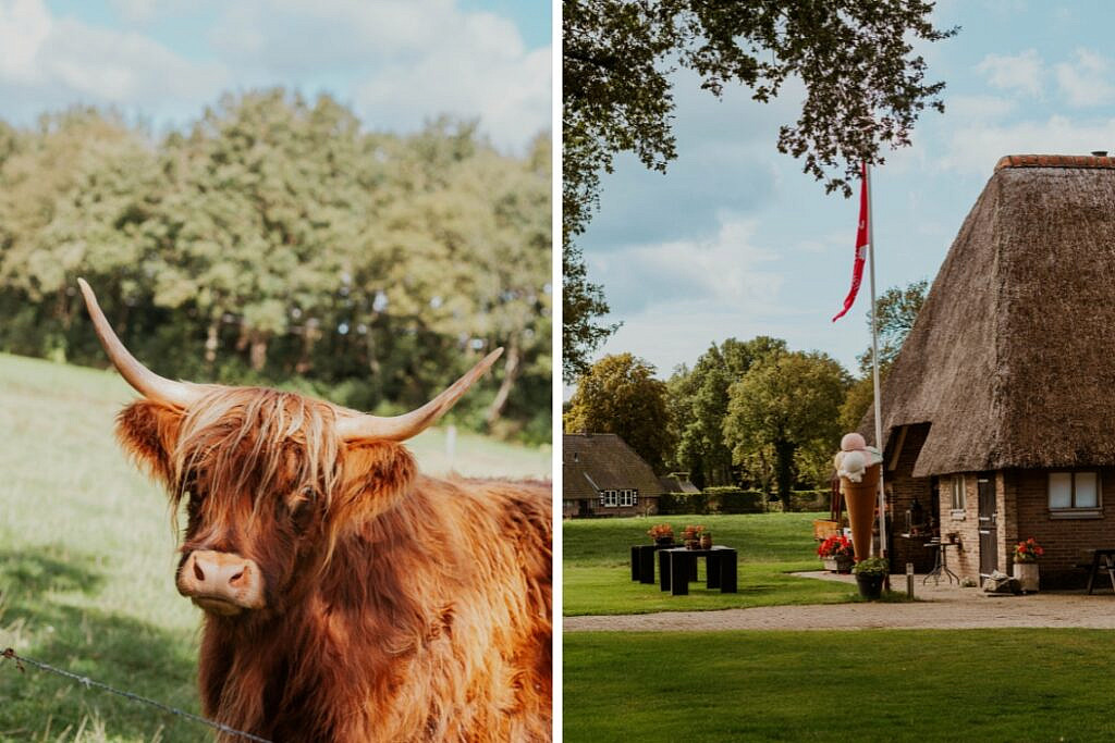 Hardenberg Tipps Fatbike Tour & High Tea Vechtdal Express und SomerWende8