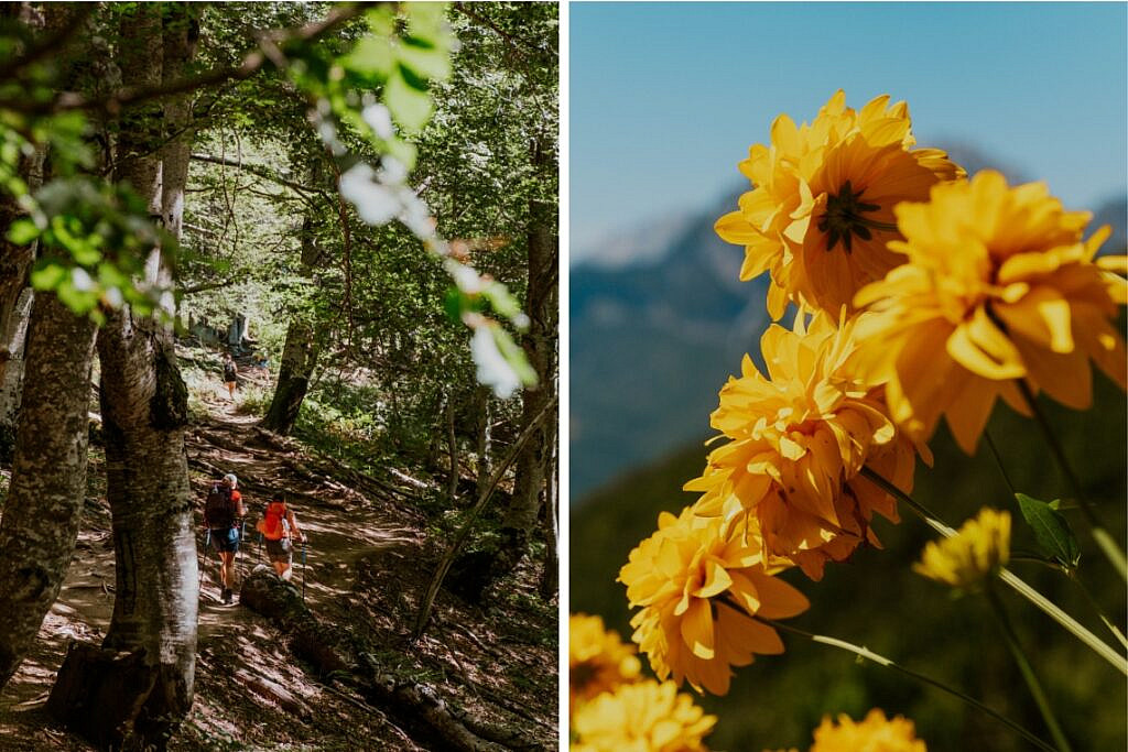 Peaks of the Balkan Trail Theth - Valbona 11