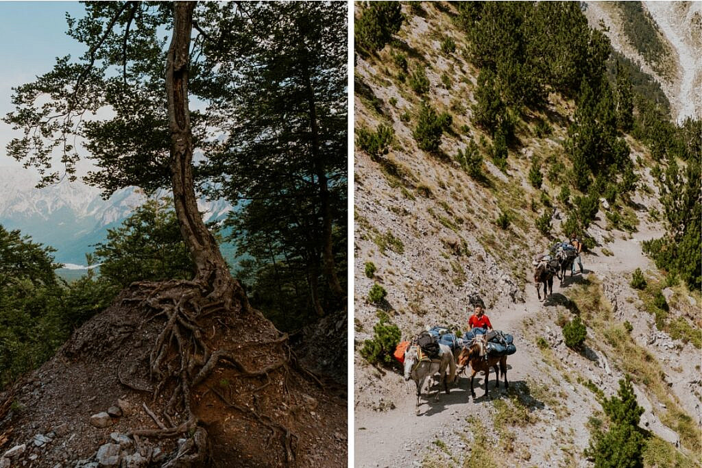 Peaks of the Balkan Trail Theth - Valbona 15