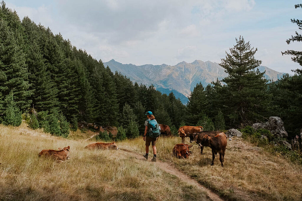 Peaks of the Balkans Trail Valbona – Çerem – Dobërdol