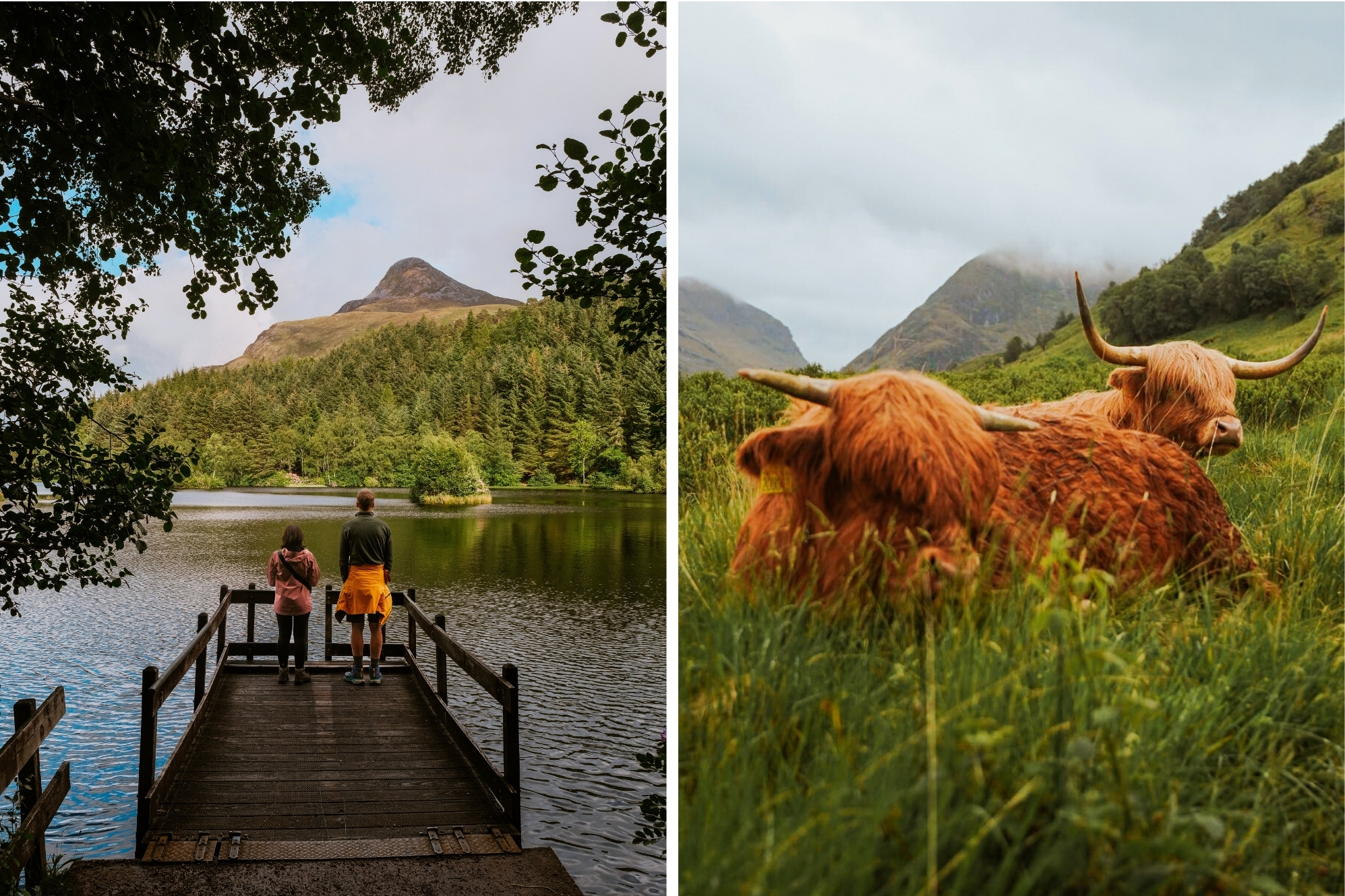 Glencoe