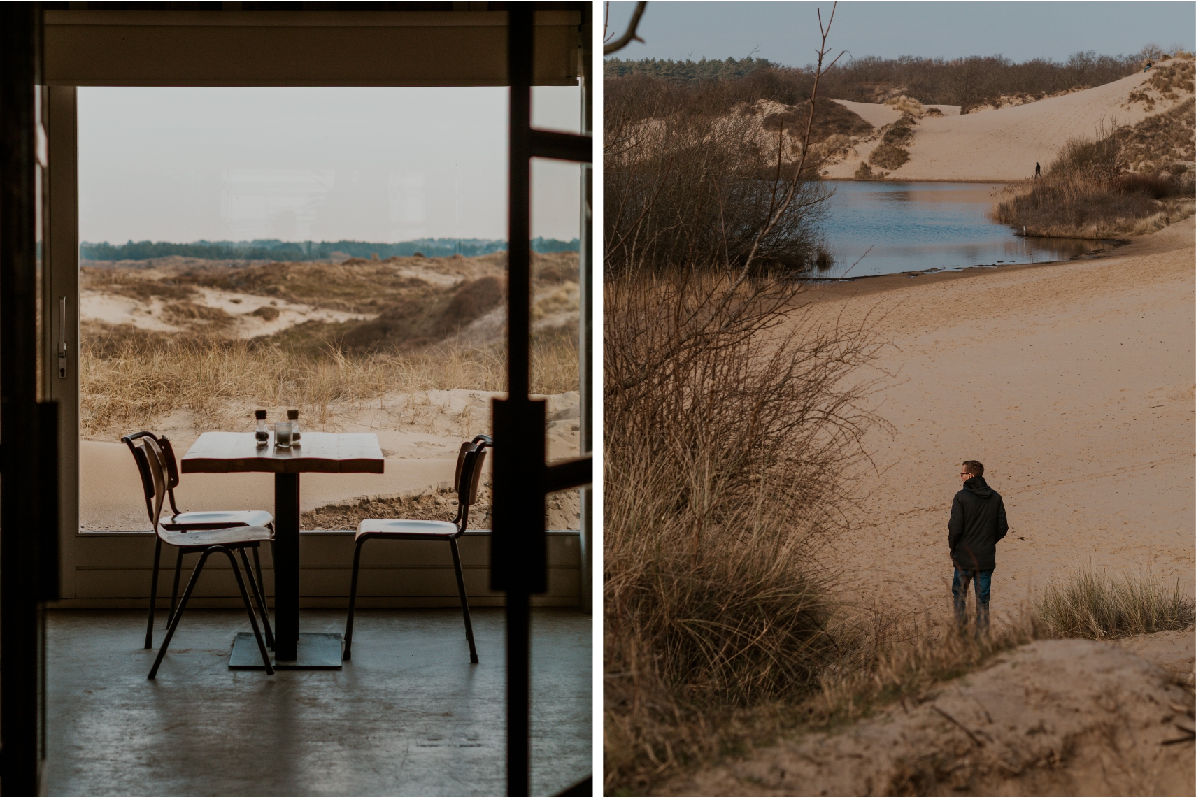 Dünenwanderung Kennemerduinen 1