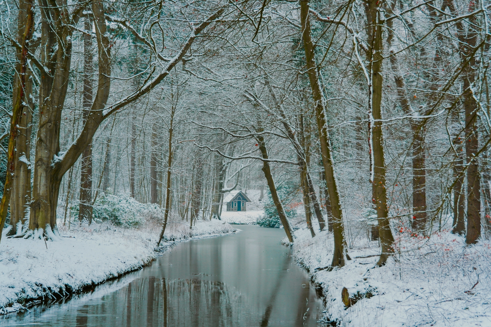 Landgut Elswout Winter in Haarlem
