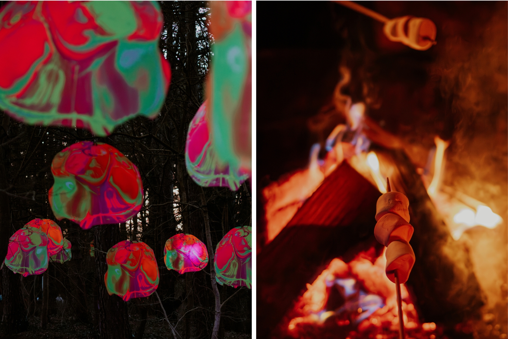 Caprera LIchtfestival Bloemendaal Winter in Haarlem Aktivität