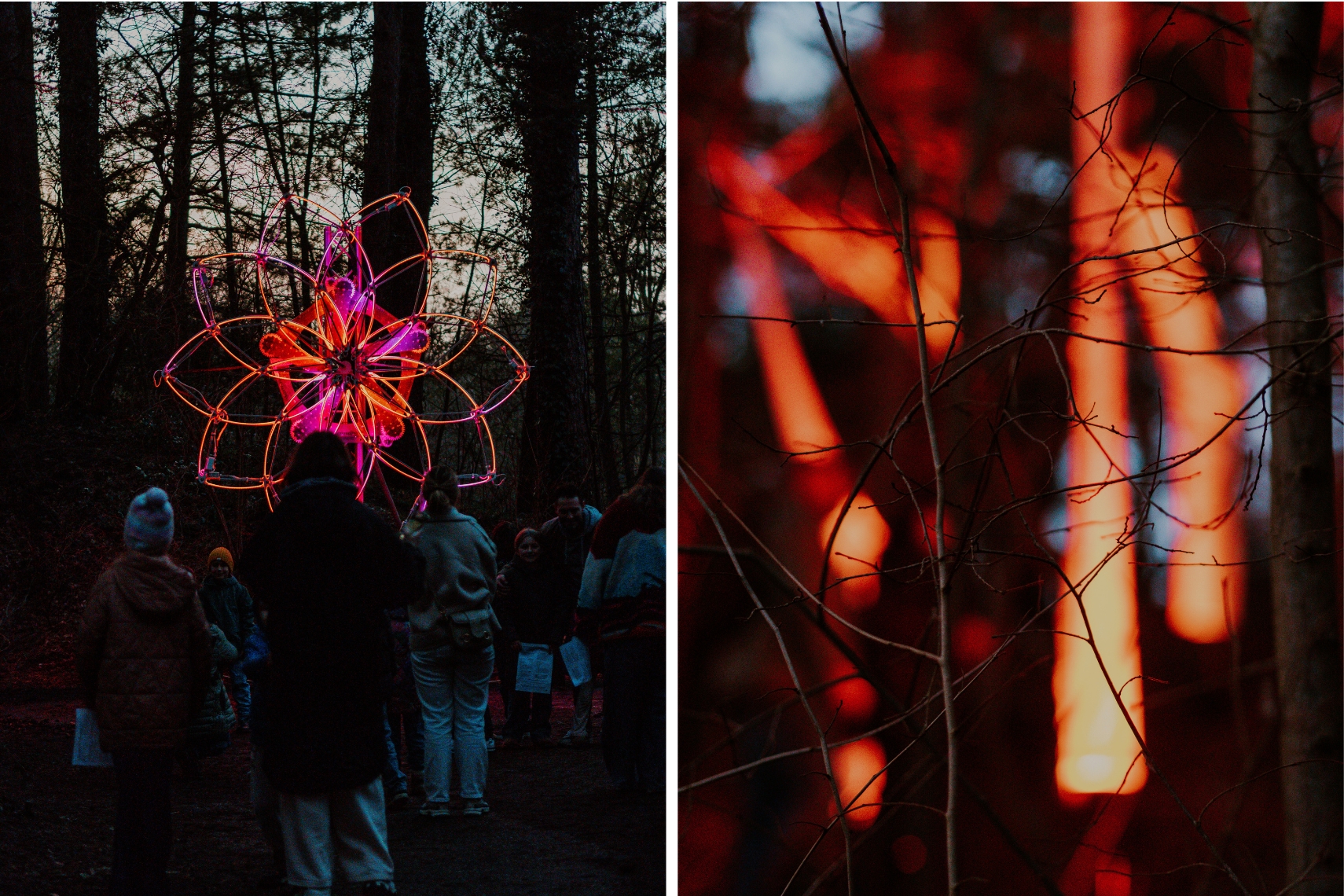 Caprera LIchtfestival Bloemendaal Winter in Haarlem Aktivität