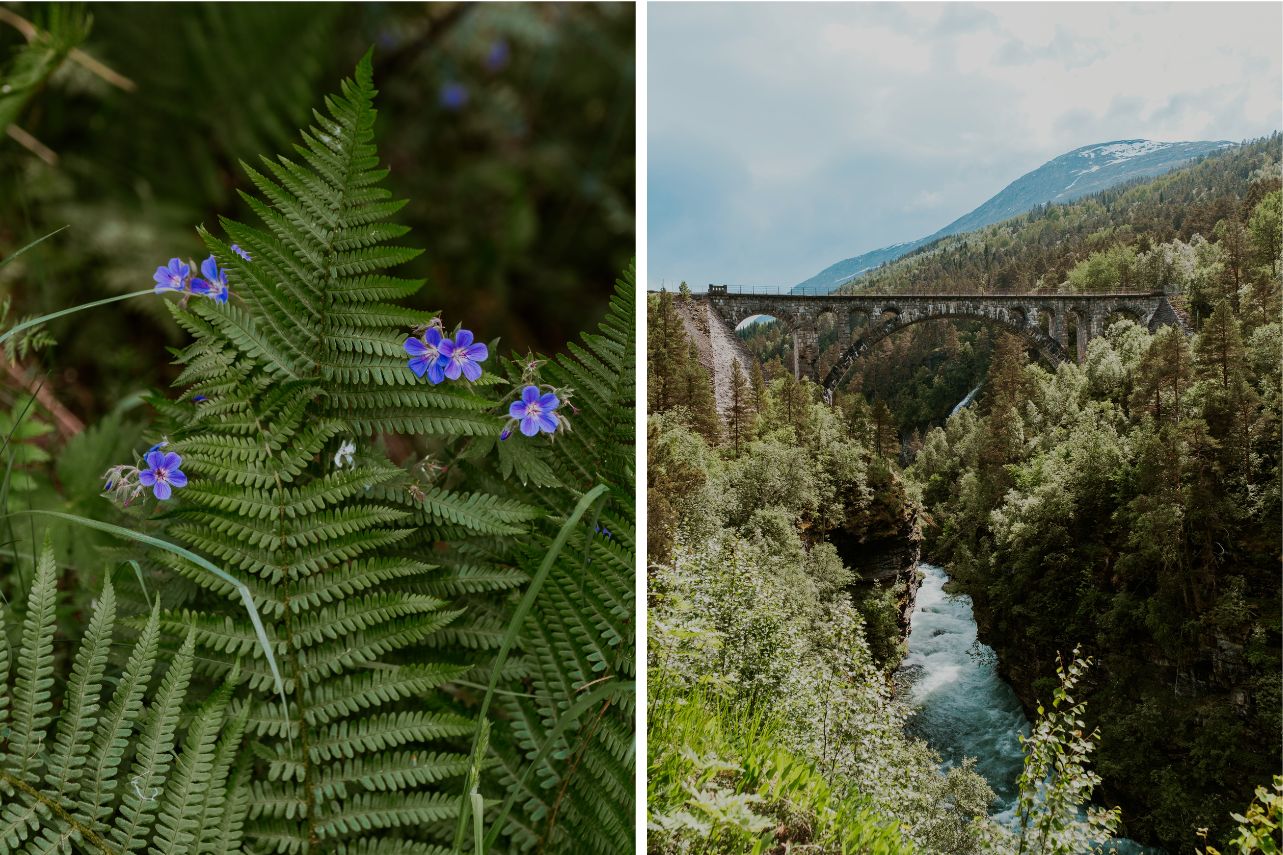 Kyllingbrua Brücke Norwegen 1