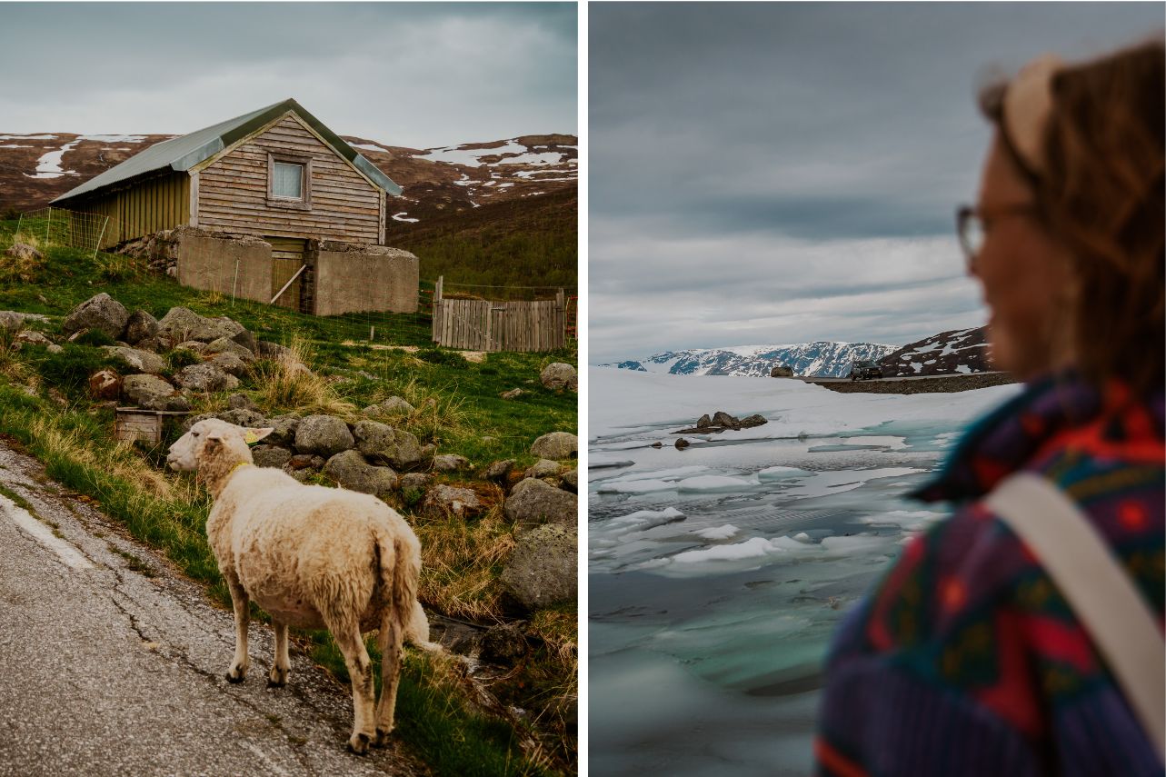 Panoramastraße Aurlandsfjellet in Norwegen voller Kontraste