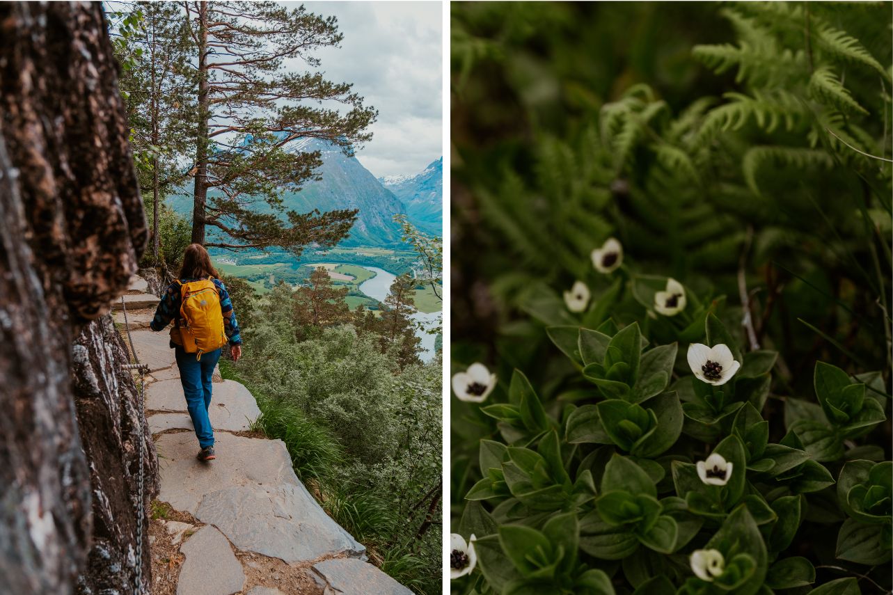 Rampestreken Wanderung Norwegen 24