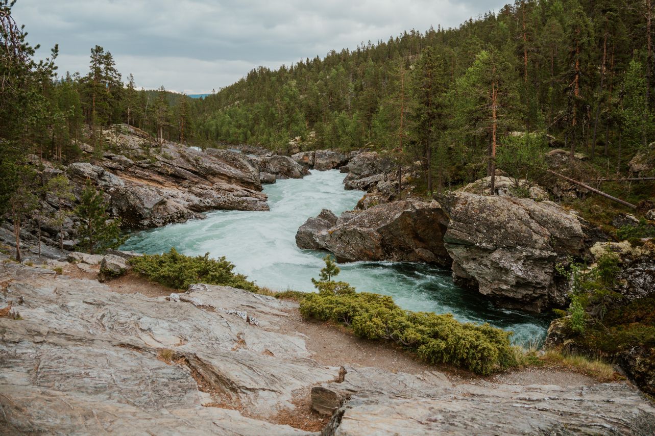 Ridderspranget