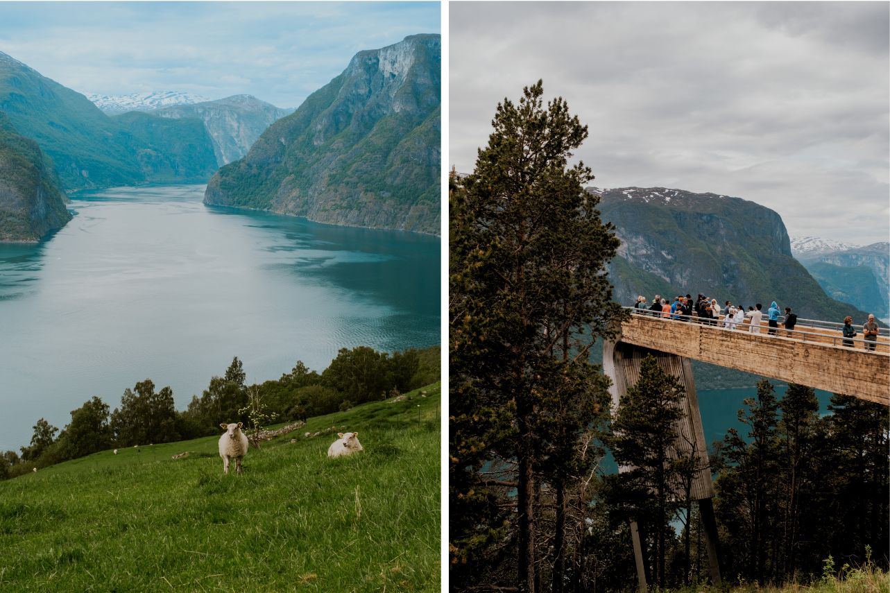 Stegastein Lookout über den Aurlandsfjord