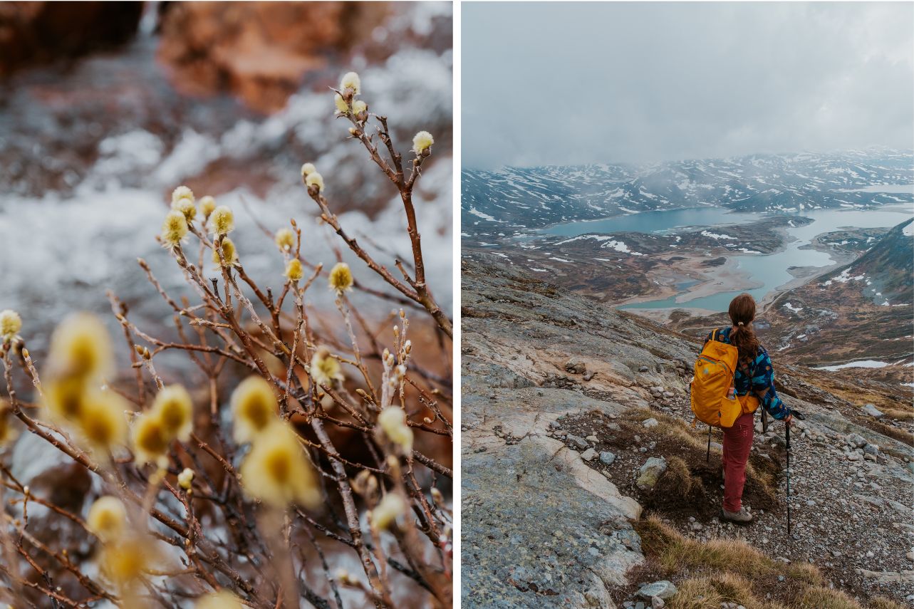 Wanderung Synshorn 3